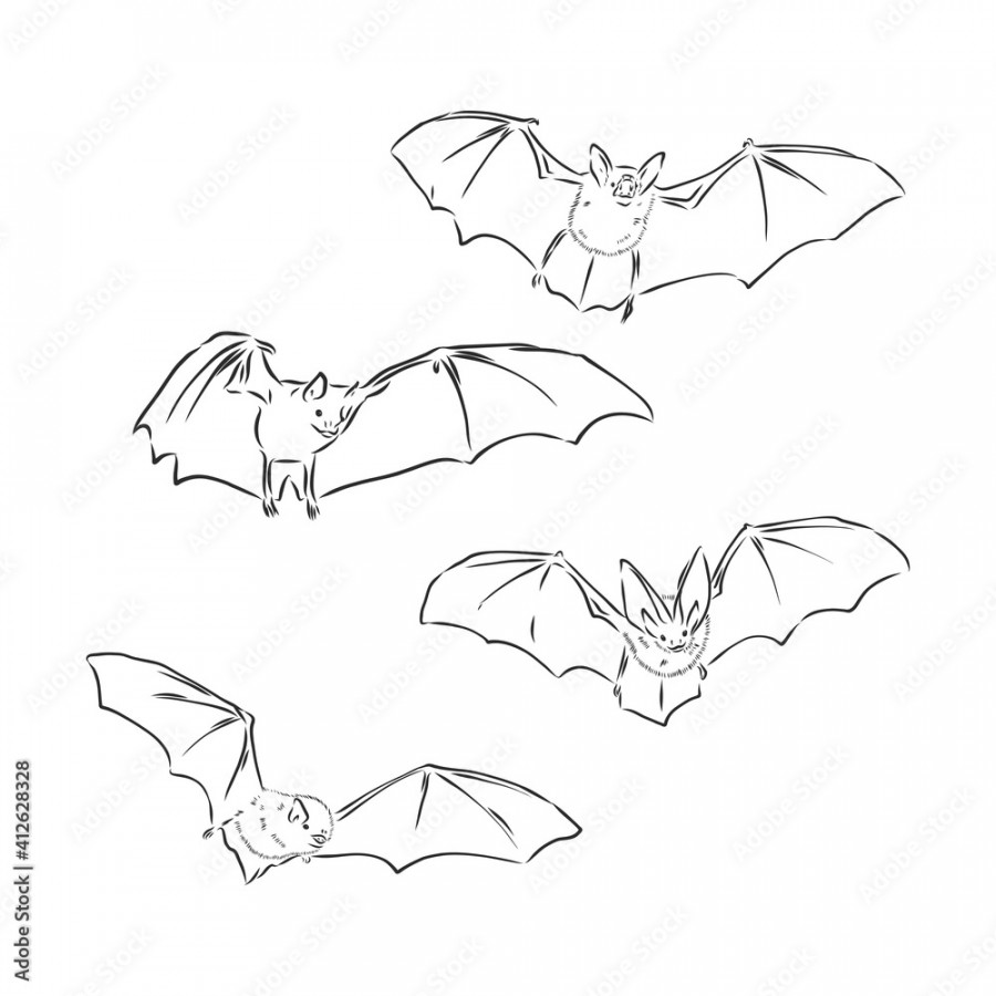 Screaming flying bat with extended wings, hand drawn vector