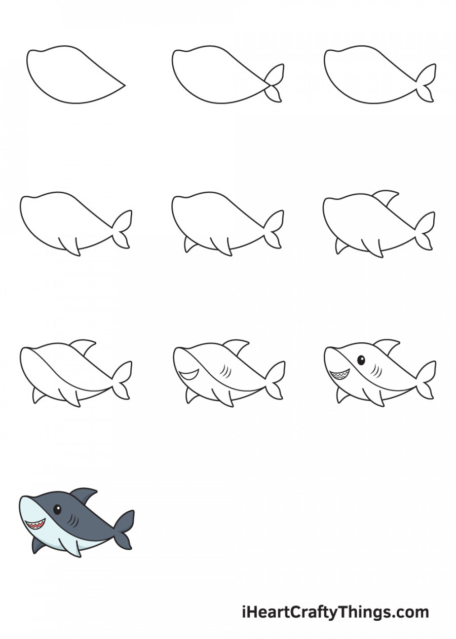 Shark Drawing - How To Draw A Shark Step By Step