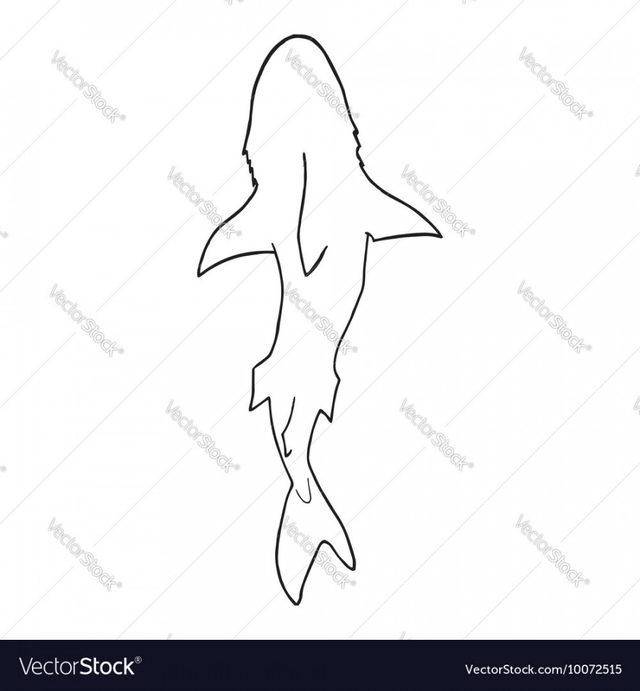 Shark silhouette top view Royalty Free Vector Image