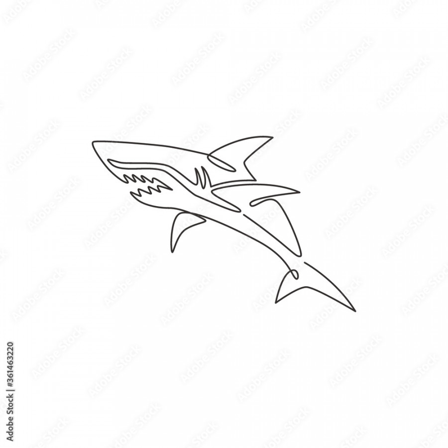 Single continuous line drawing of aggressive shark for nature