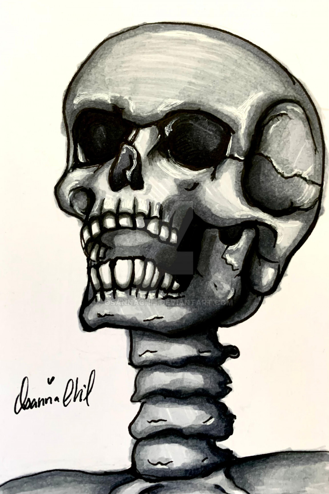 Skeleton Face Drawing by OsannaChil on DeviantArt