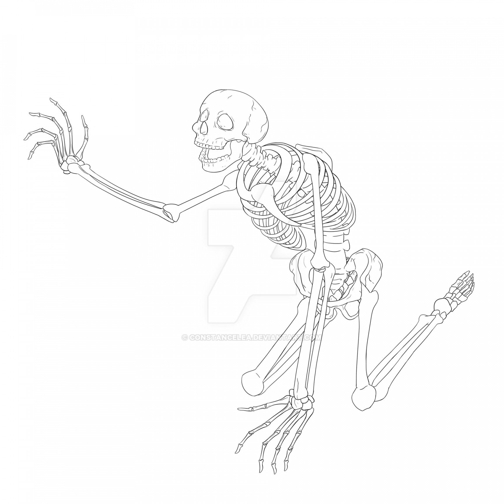Skeleton reaching - work in progress by constancelea on DeviantArt