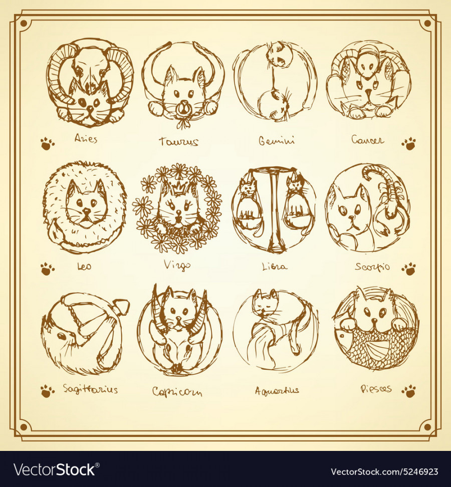Sketch cats zodiac signs in vintage style Vector Image