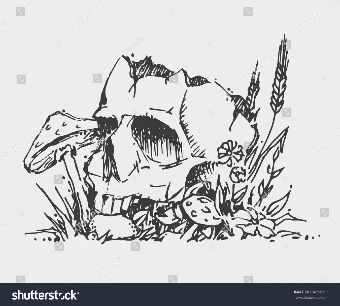 Sketch Skull Mushrooms Wheat Vector Illustration: Stock