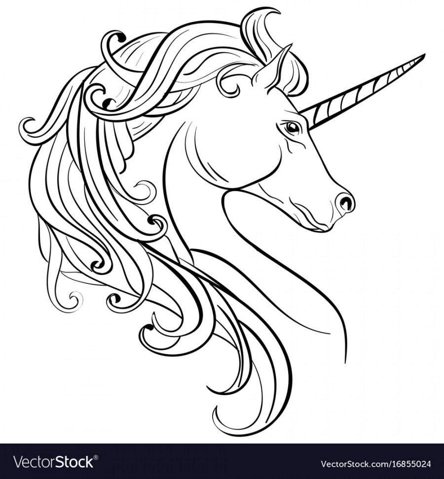 Sketch unicorn hand drawn ink horse Royalty Free Vector