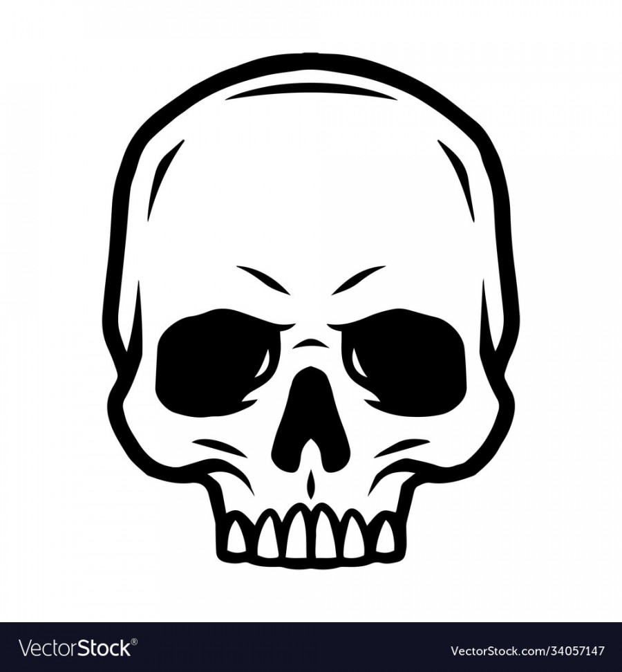 Skull without jaw vintage concept Royalty Free Vector Image