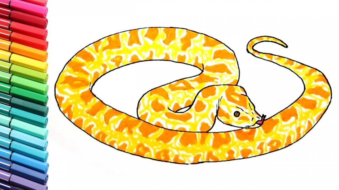 Snake Coloring Pages For Kids - Drawing and Learning Colors With Wild  Animals Snake