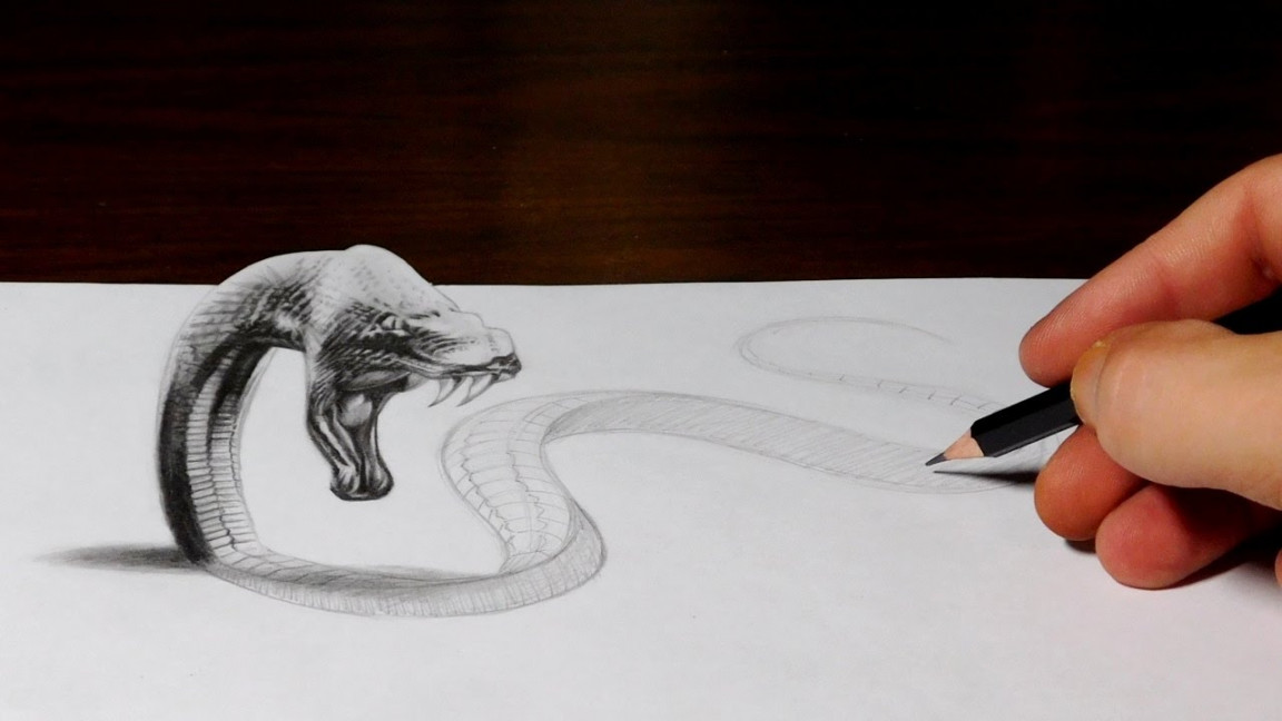 Snake Drawing Comes to Life - D Trick Art