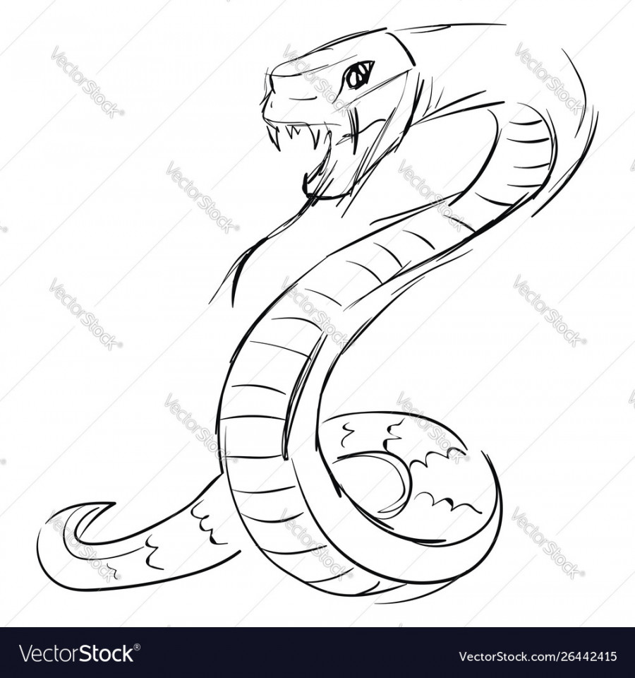 Snake drawing on white background Royalty Free Vector Image