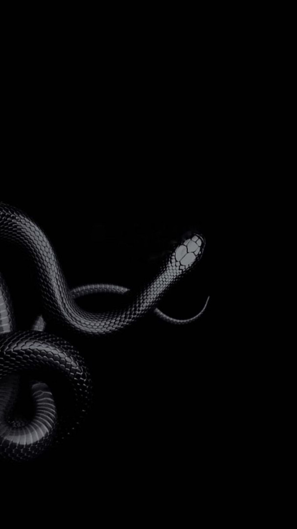 Snake Lockscreen  Snake wallpaper, Black aesthetic wallpaper