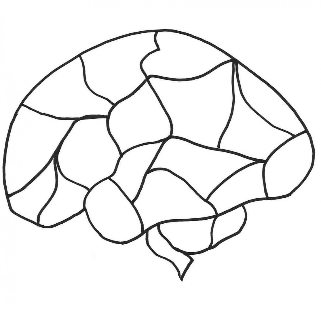 social smarts - brain smarts diagram  Brain drawing, Brain