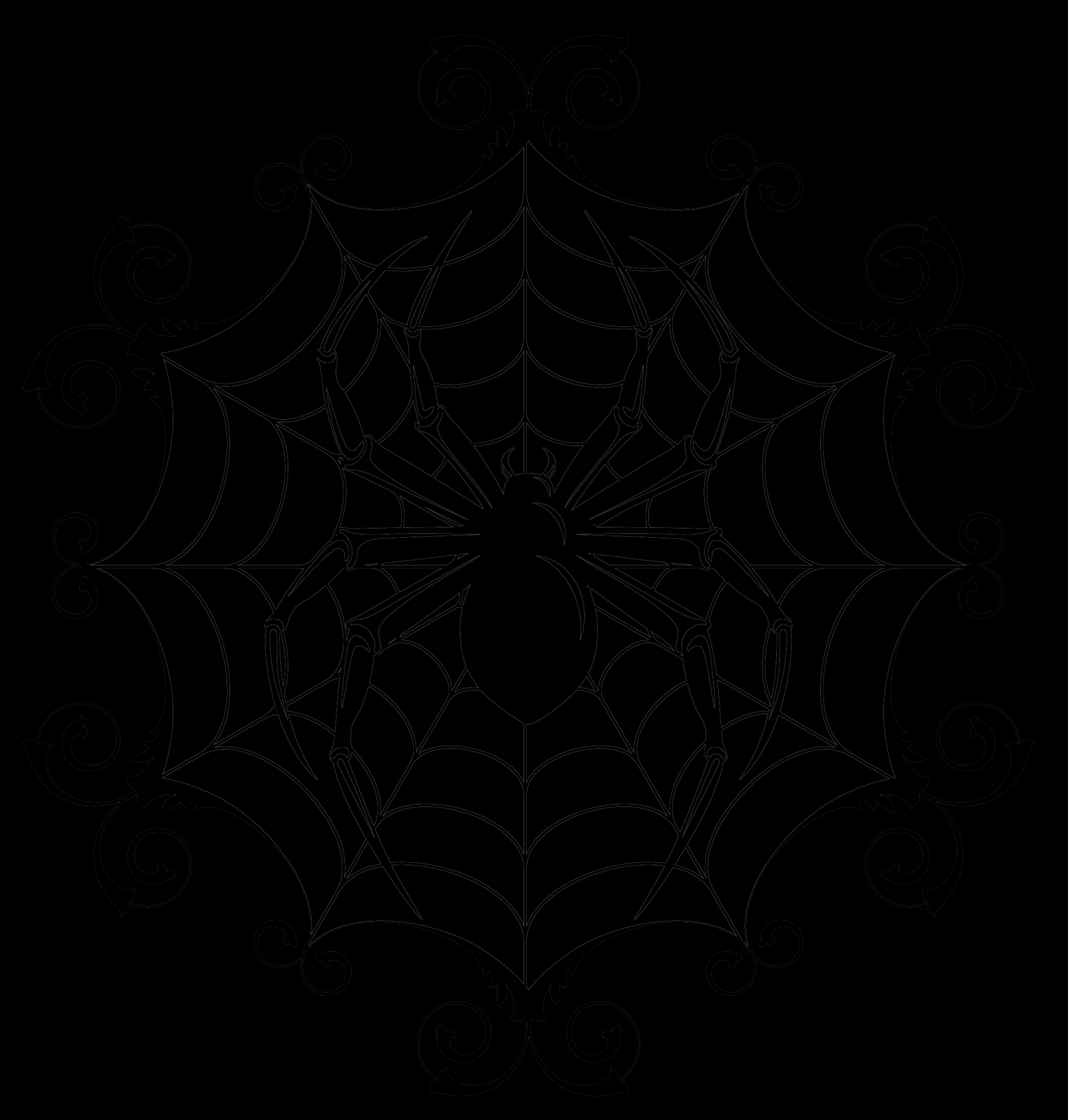 spider and spider web image - Google Search  Black and white