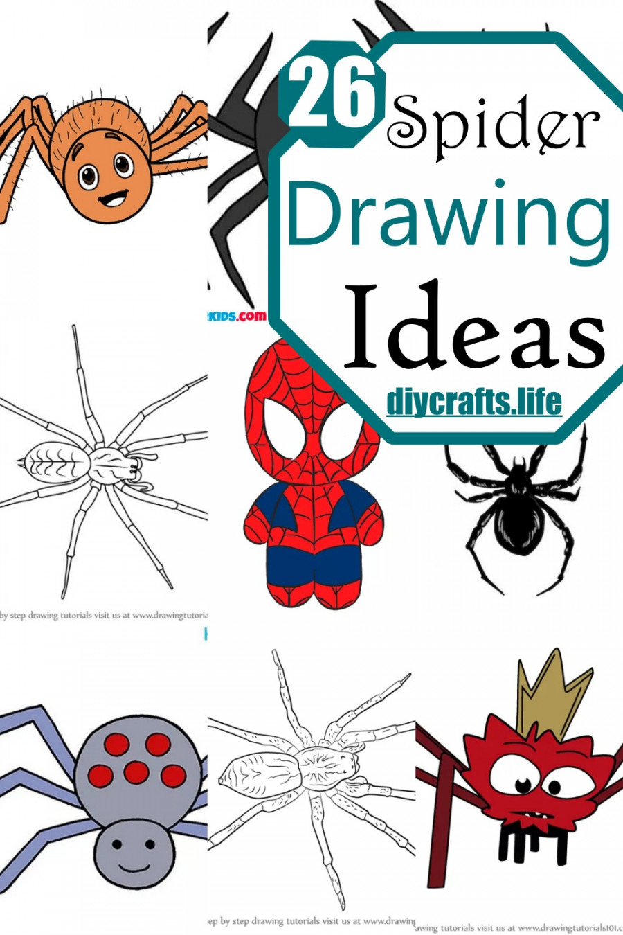 Spider Drawing Ideas - How To Draw Spider - DIY Crafts