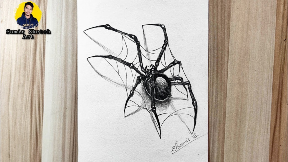 spider 🕷Drawing with pencil step by steps