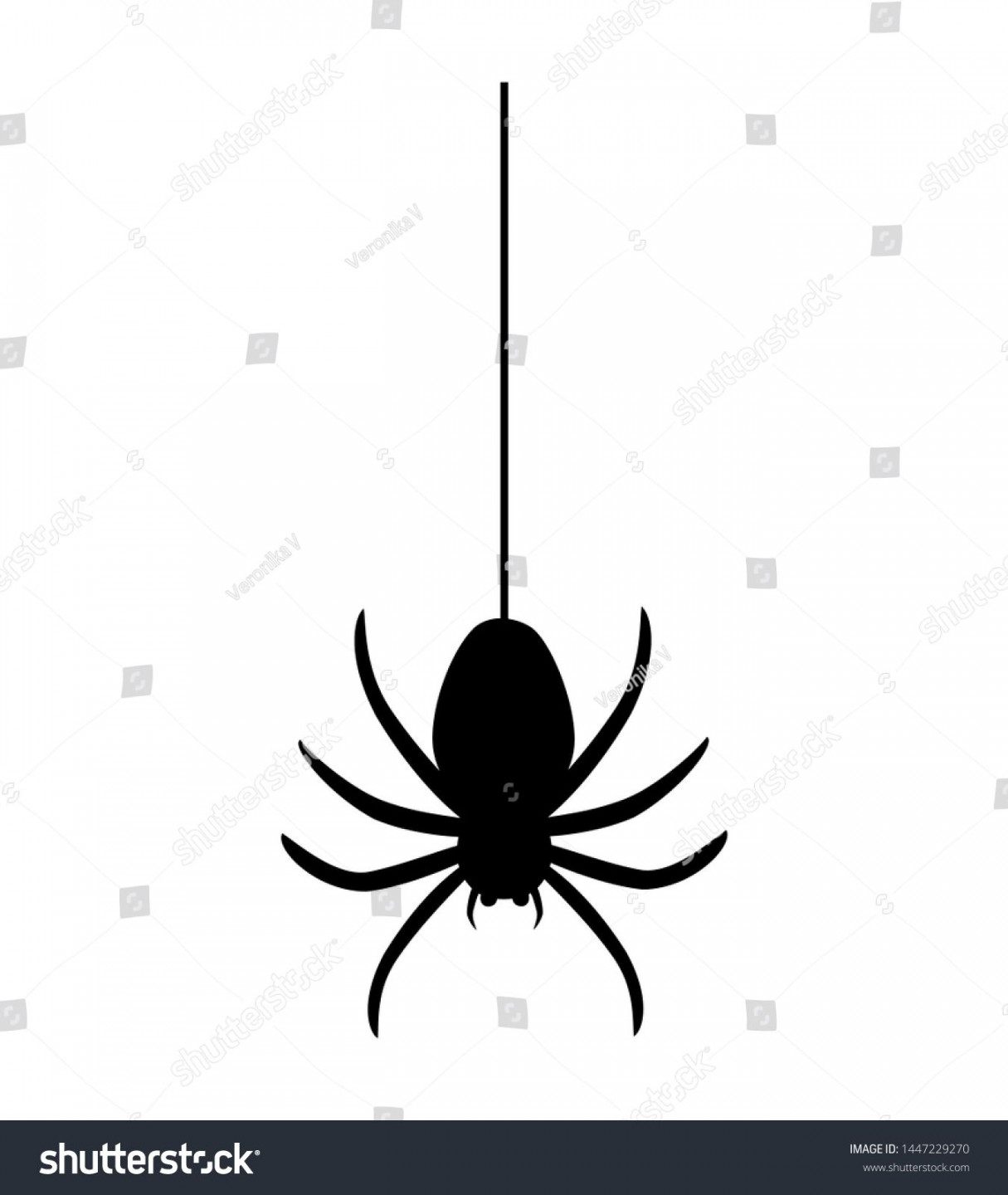 Spider hanging on spider webs thread black silhouette