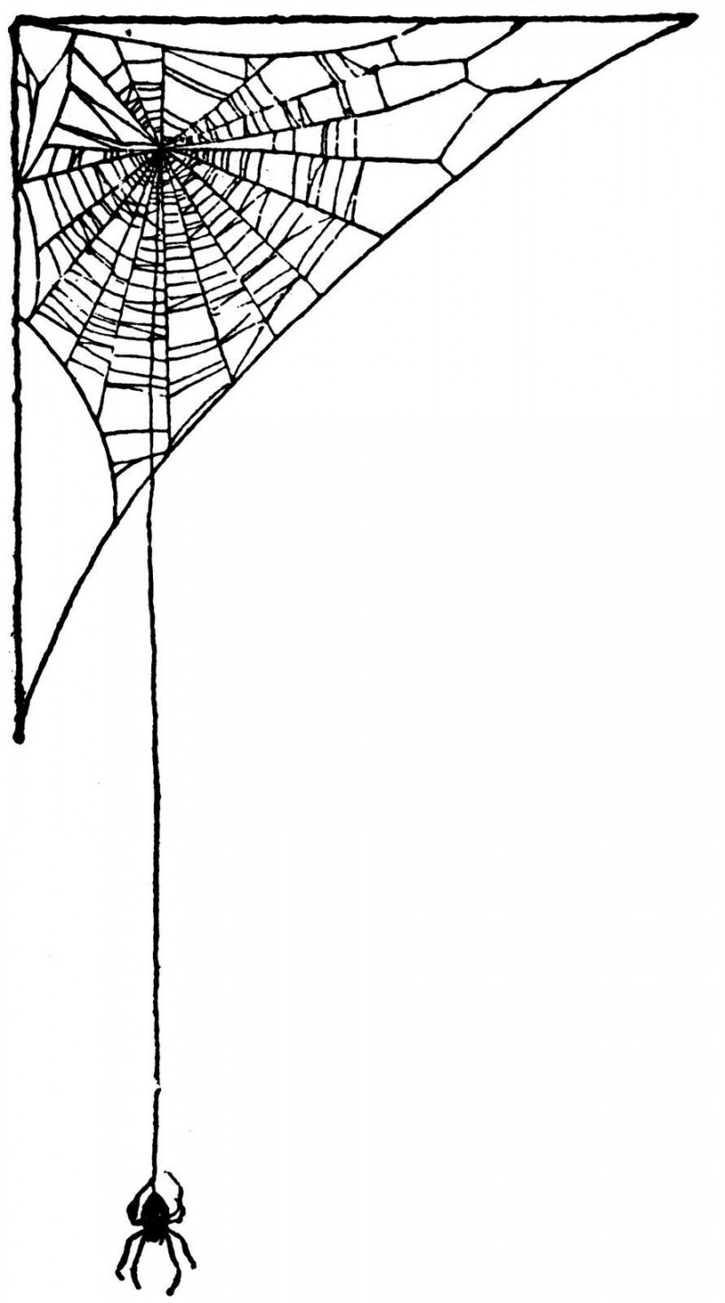 Spider in the Window  Spider web drawing, Spider art, Spider