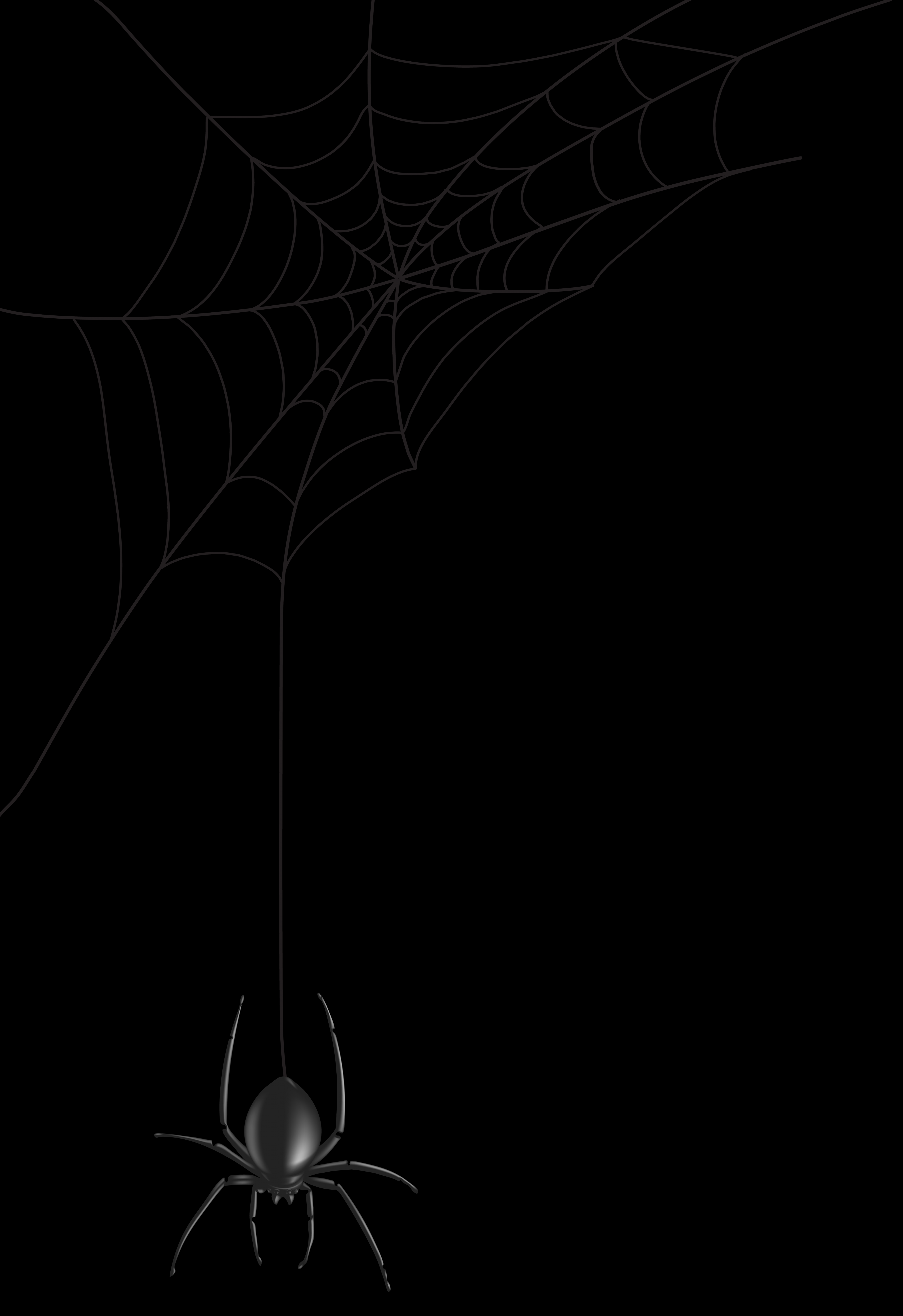 Spider Web PNG Clip Art Image​  Gallery Yopriceville - High