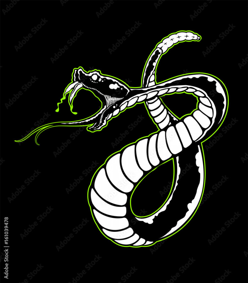 Spitting venom black and white snake Stock-Vektorgrafik  Adobe Stock