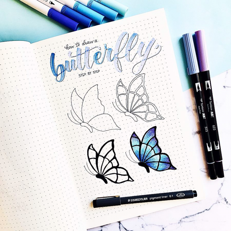 Step-by-Step Guide to Drawing a Beautiful Butterfly