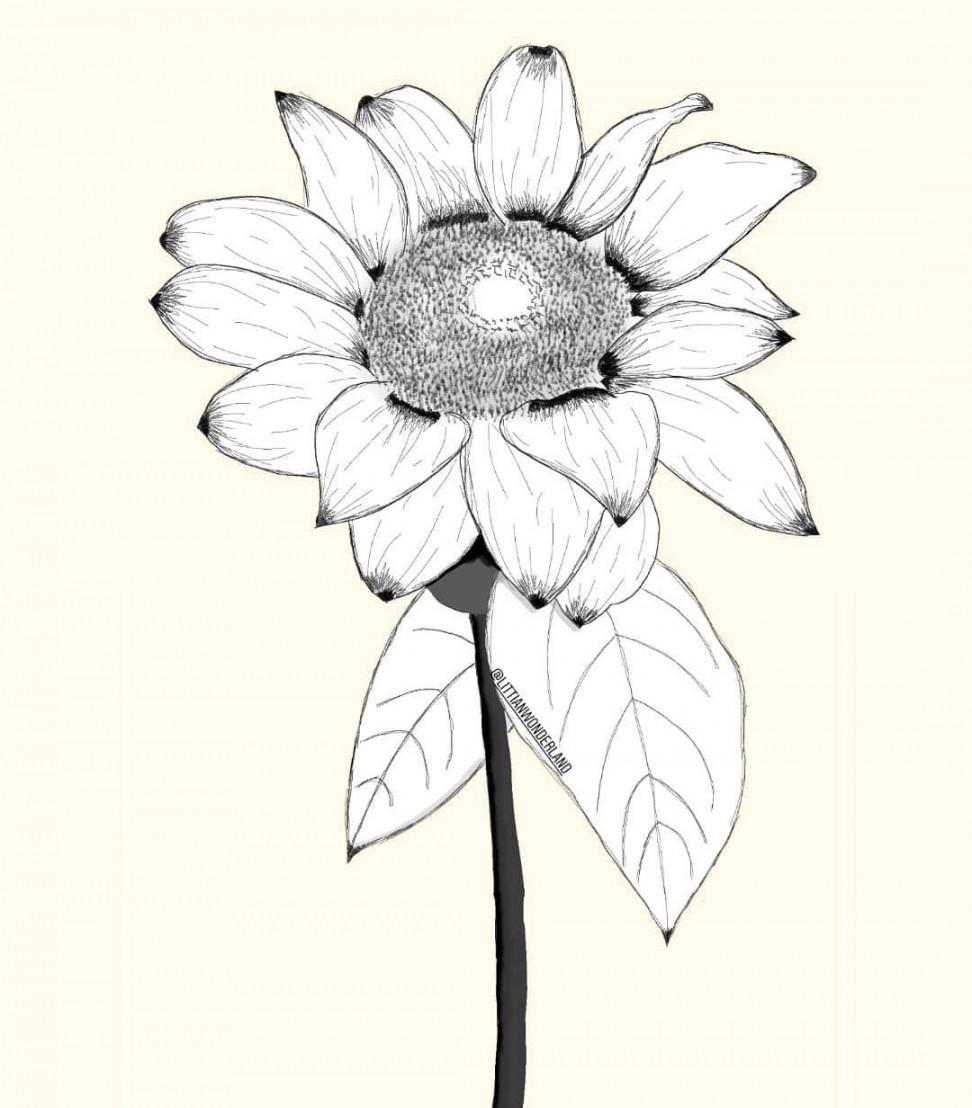 Sunflower 🌻(ibisPaint x) . . . . . . . . . .