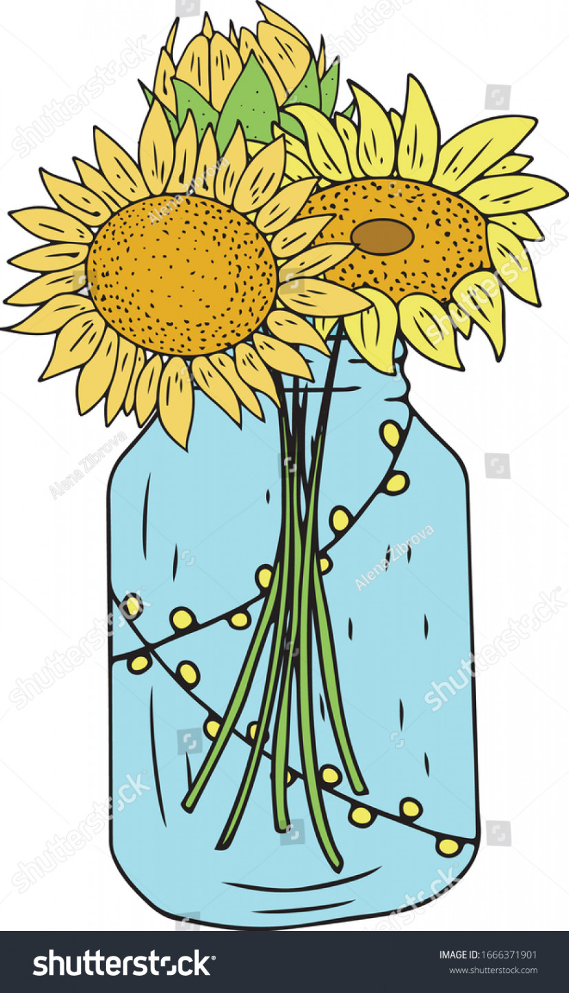 Sunflowers Bouquet Glass Mason Jar Stock Vector (Royalty Free