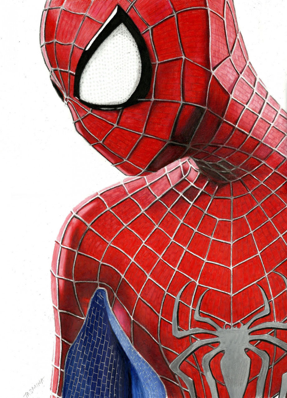 The Amazing Spider-Man  colored pencil drawing by JasminaSusak on