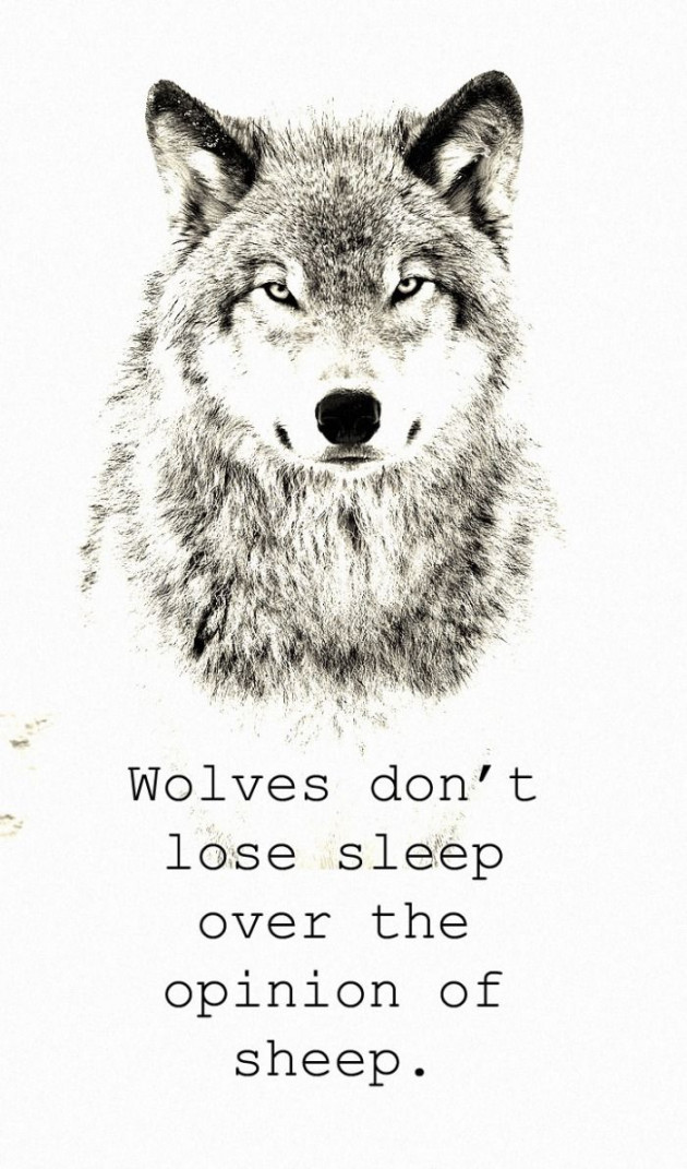 To tell you something about wolves