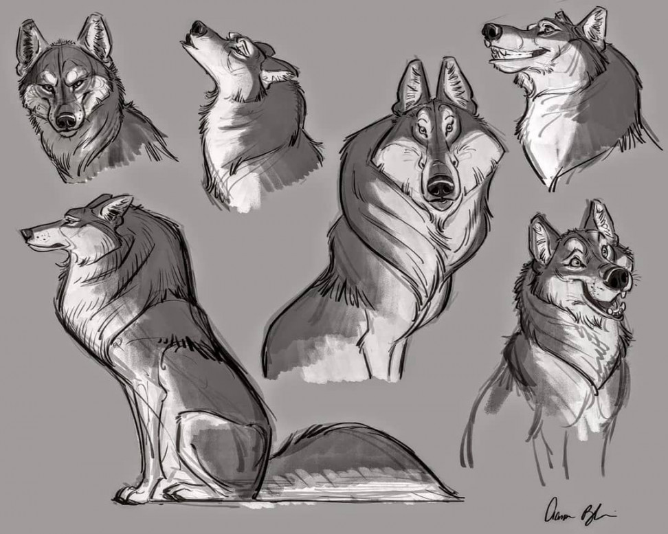 Today I talked about how to caricature wolves and create