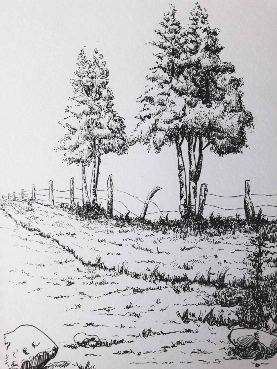 Tree gab  Landscape drawings, Landscape sketch, Ink pen drawings