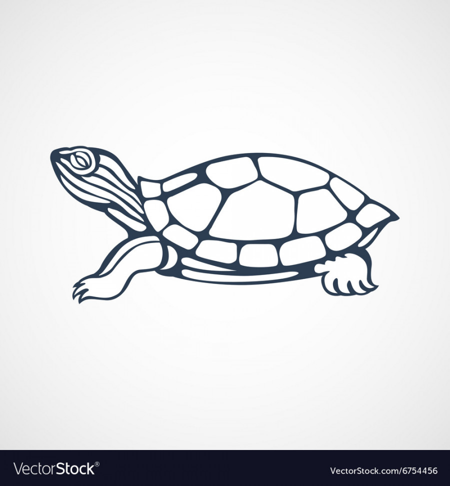 Turtle logo Royalty Free Vector Image - VectorStock