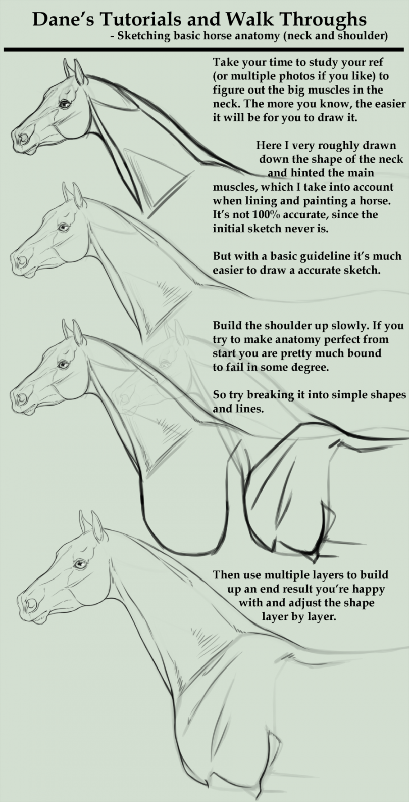 Tutorial/Walk Through - sketching a horse neck etc  Horse
