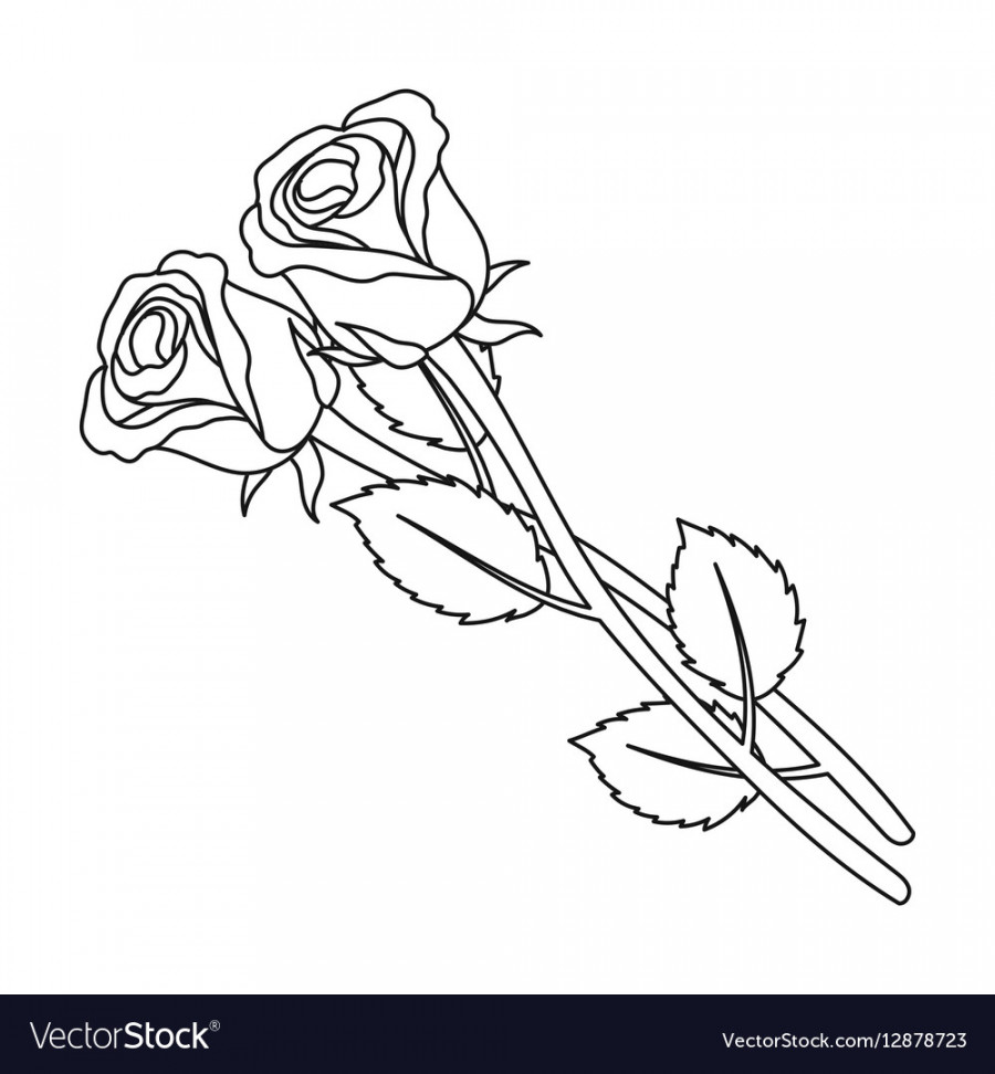 Two roses icon in outline style isolated on white Vector Image