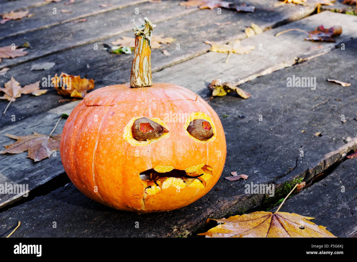 Ugly pumpkin hi-res stock photography and images - Alamy