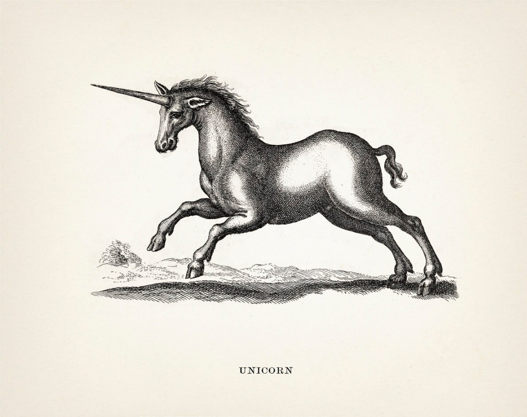 Unicorn : Monster Series OE- Fine art print of a vintage natural