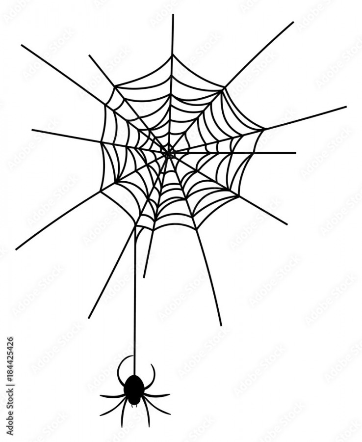Vector illustration of a spider on a cobweb