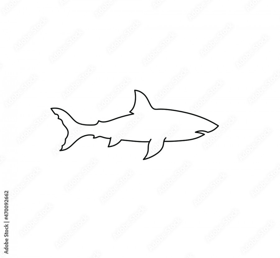 Vector isolated shark silhouette contour black line drawing