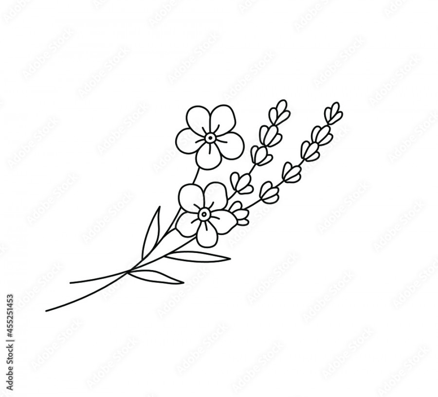 Vector isolated tiny flower bouquet drawing