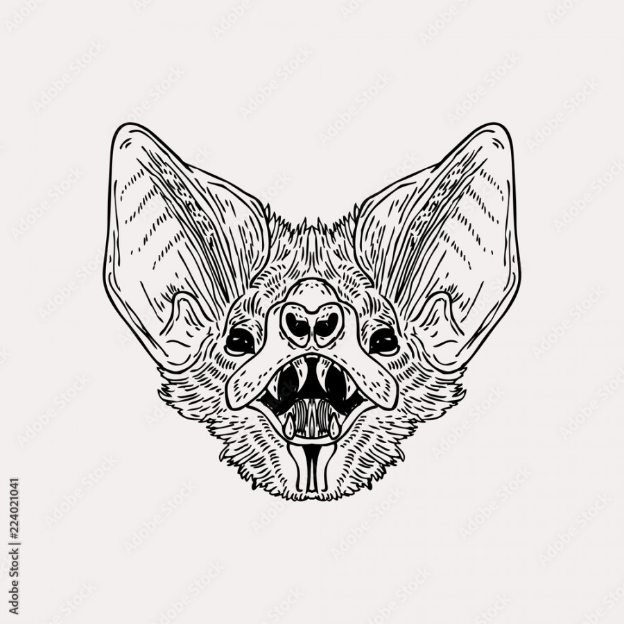 Vector vintage hand drawn bat head