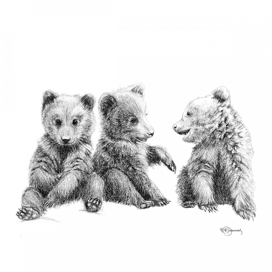 VENDU - Original Artwork -  Brown Bear Cubs Illustration