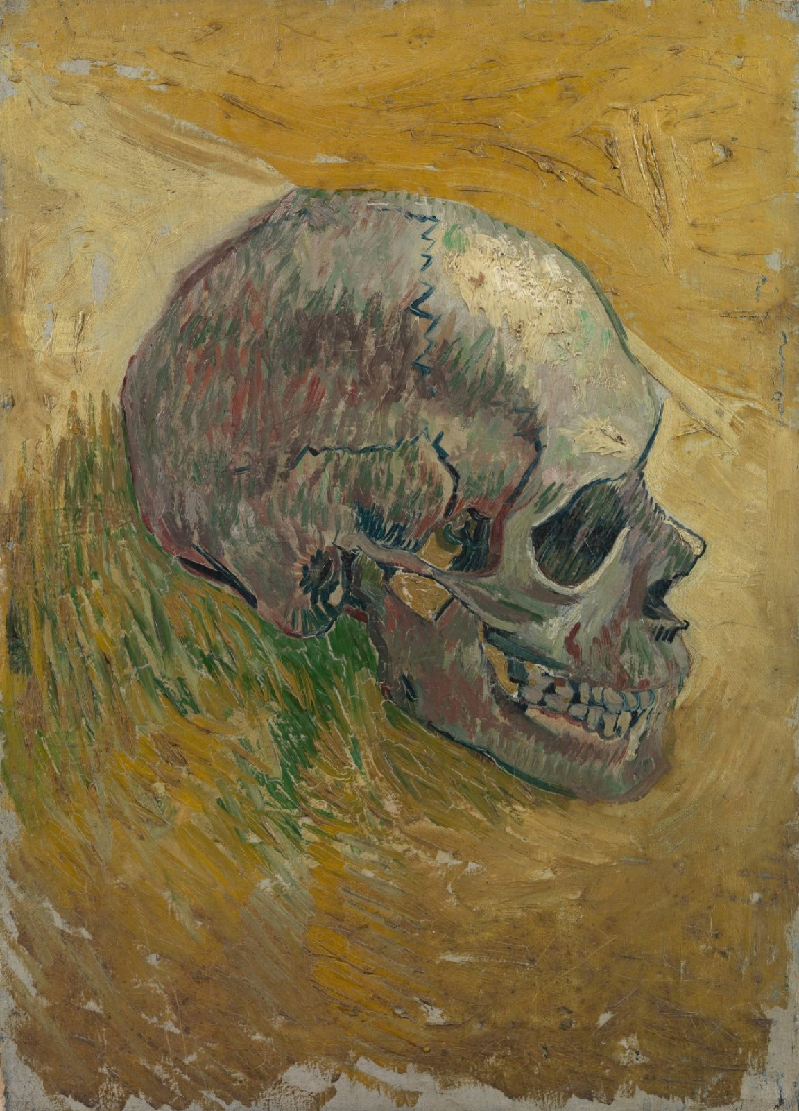 Vincent van Gogh - Skull - Van Gogh Museum