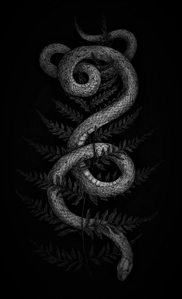 Wallpaper  Background  Snake wallpaper, Beautiful dark art