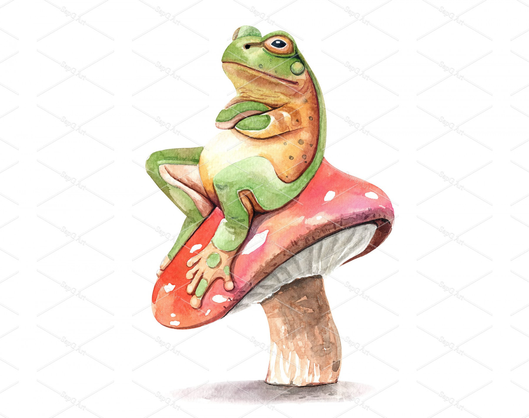 Watercolor Frog on Mushroom Illustration. Frog Paint