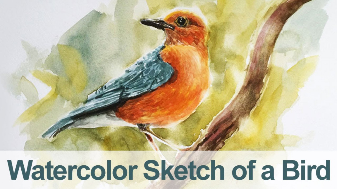 Watercolor Painting - Bird Demo