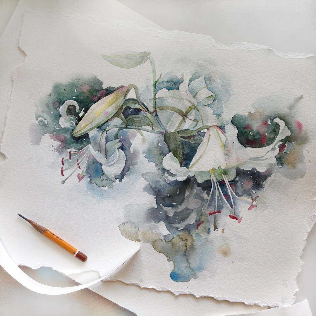 Watercolor sketches of the flowers on Behance