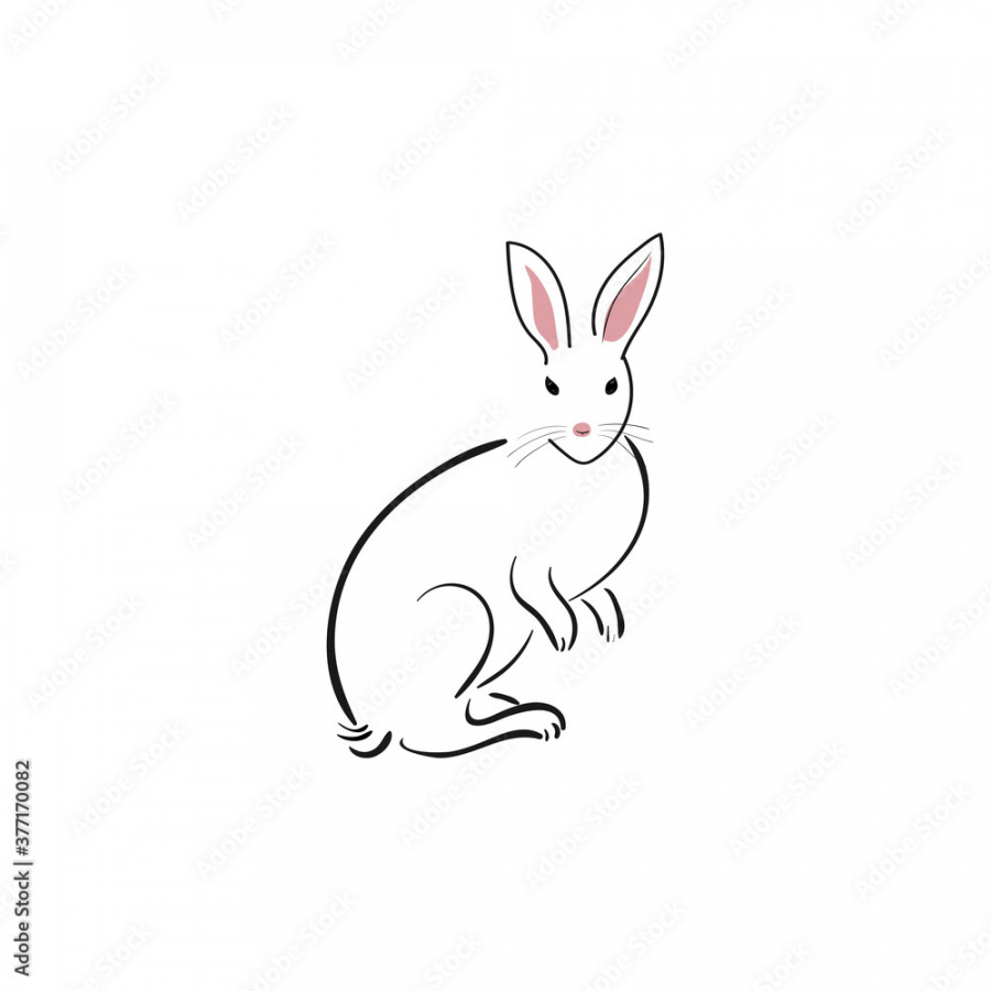 White rabbit in japanese style on a white background