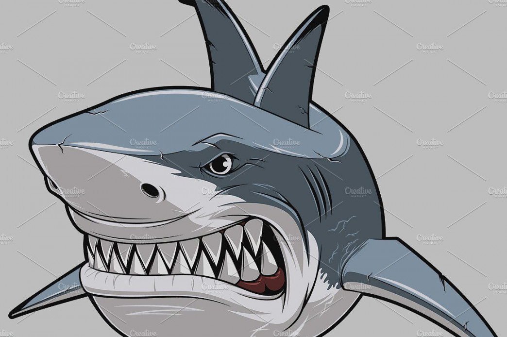 White shark in   Shark art, Shark, White sharks