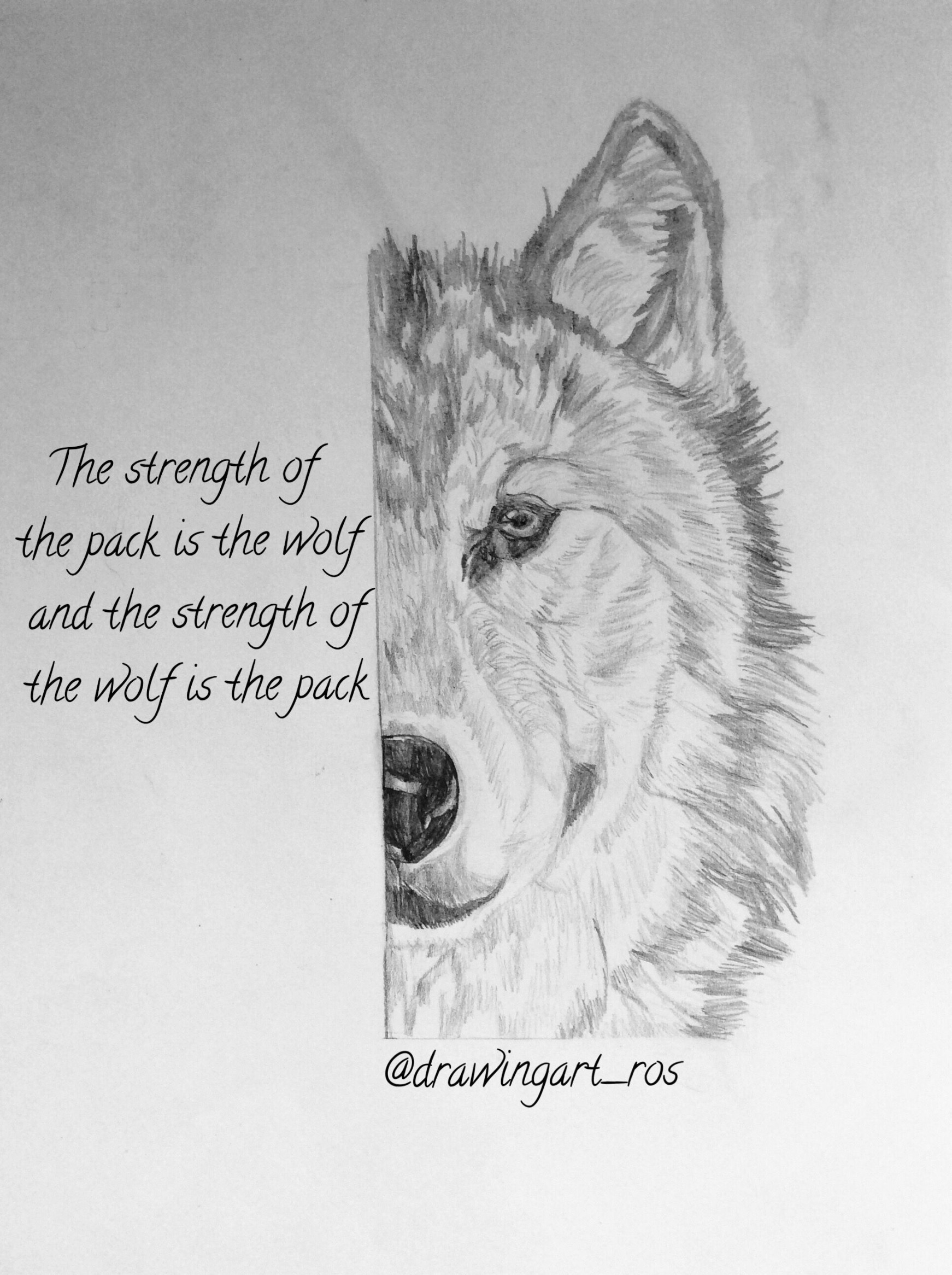 Wolf drawing by @drawingart_ros on Instagram #art #wolf  Wolf