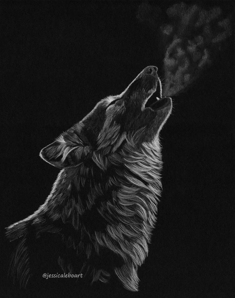 Wolf howling sketch on black paper
