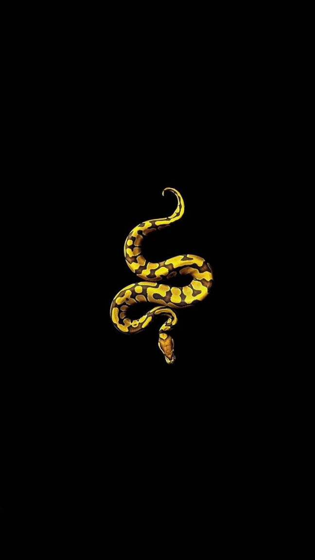 Yellow Snake wallpaper by Mtalhacanturk - Download on ZEDGE