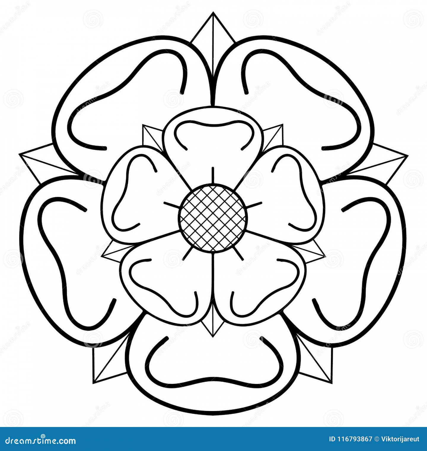 Yorkshire Rose Stock Illustrations –  Yorkshire Rose Stock